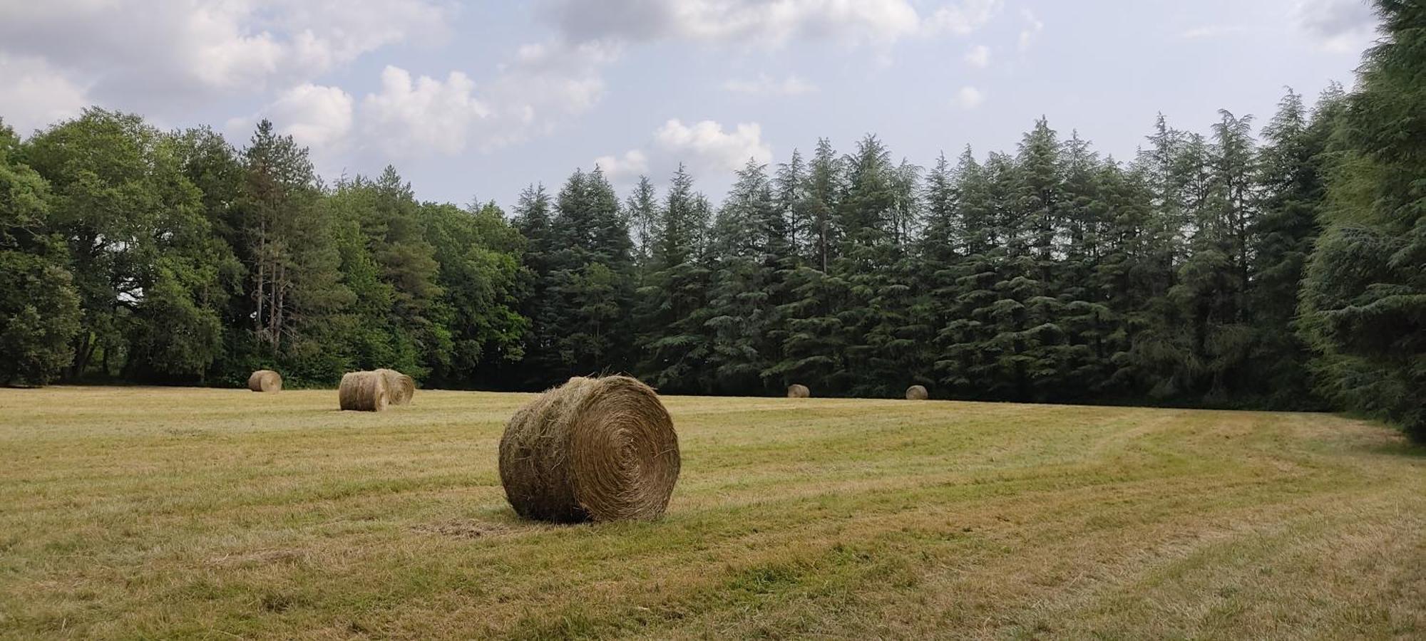 Bed and Breakfast Le Bois Des Fees De Chazelles Chazelles  Exterior foto